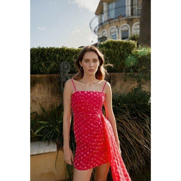 NWT SIGNIFICANT OTHER FLOCKED VELVET GRANDE DRESS PEONY POLKA PINK - Picture 6 of 6